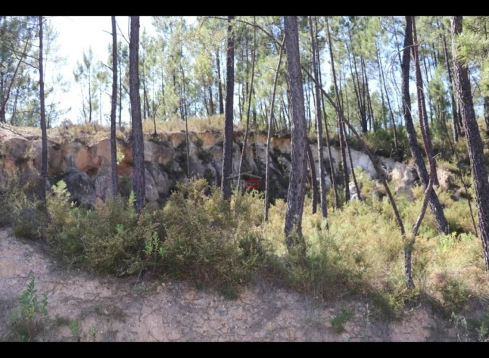 Terreno Misto para Venda em Alburitel Foto 9