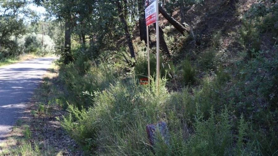 Terreno Misto para Venda em Alburitel