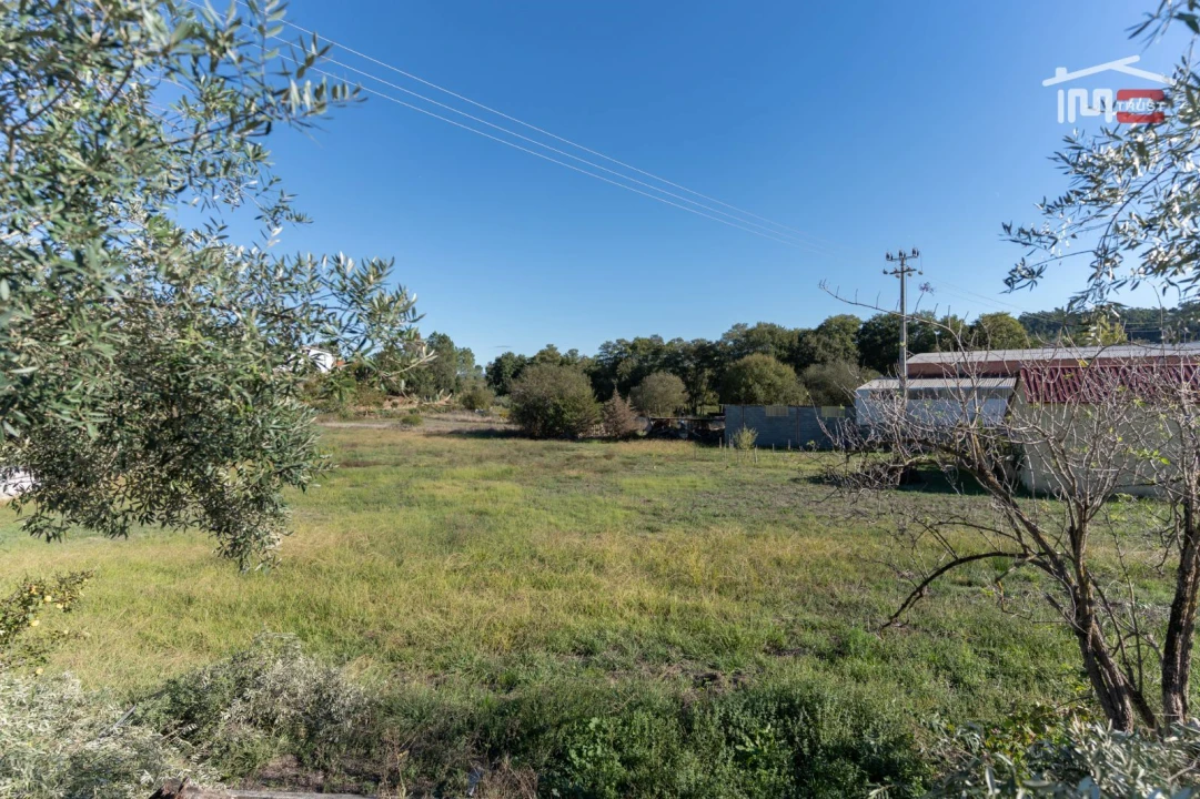 Terreno Agricola ou Rústico para Venda em Alburitel Foto 2