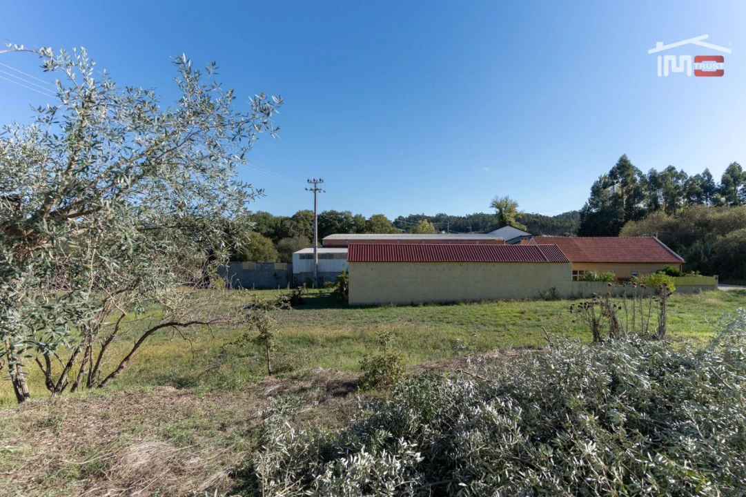 Terreno Agricola ou Rústico para Venda em Alburitel Foto 3