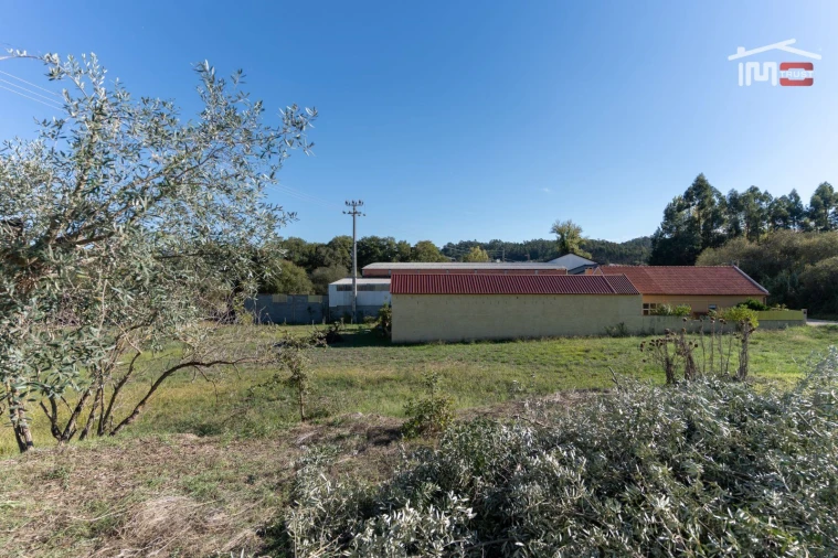 Terreno Agricola ou Rústico para Venda em Alburitel Foto 3