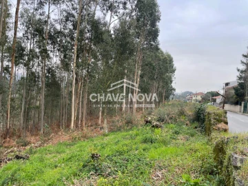 Terreno Agricola ou Rústico para Venda em Carregosa