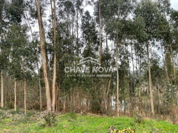 Terreno Agricola ou Rústico para Venda em Carregosa