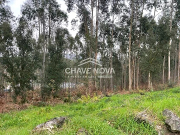 Terreno Agricola ou Rústico para Venda em Carregosa