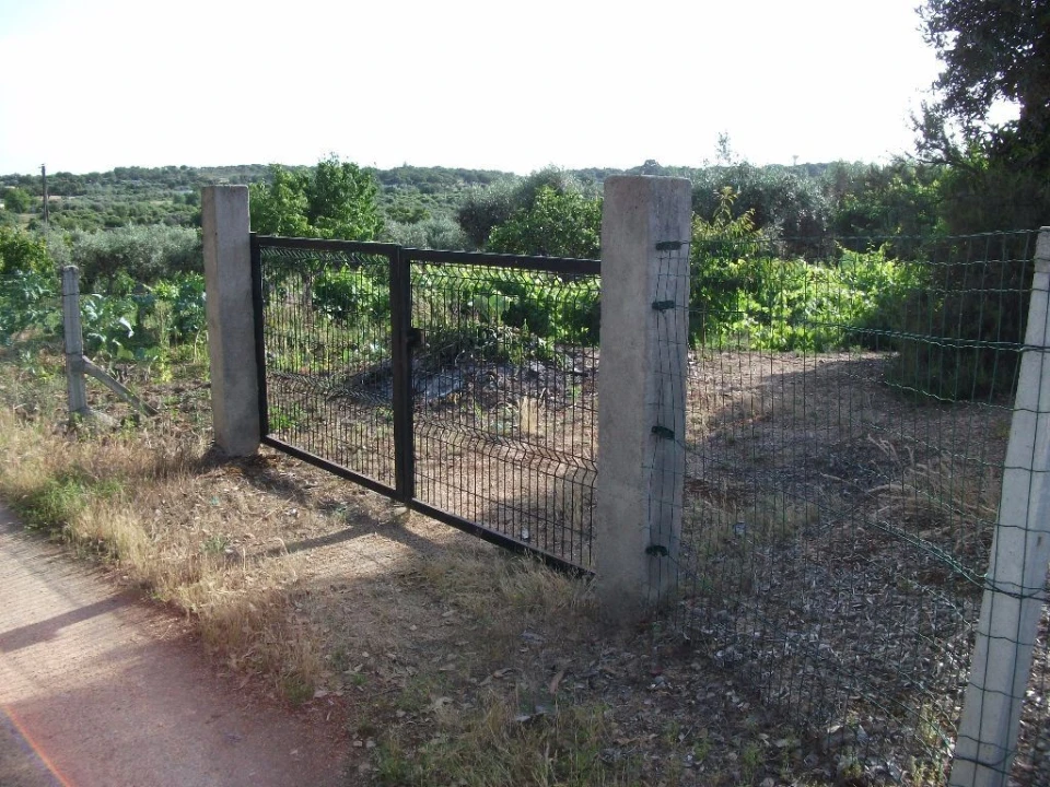 Terreno Agricola ou Rústico para Venda em Alcains Foto 3