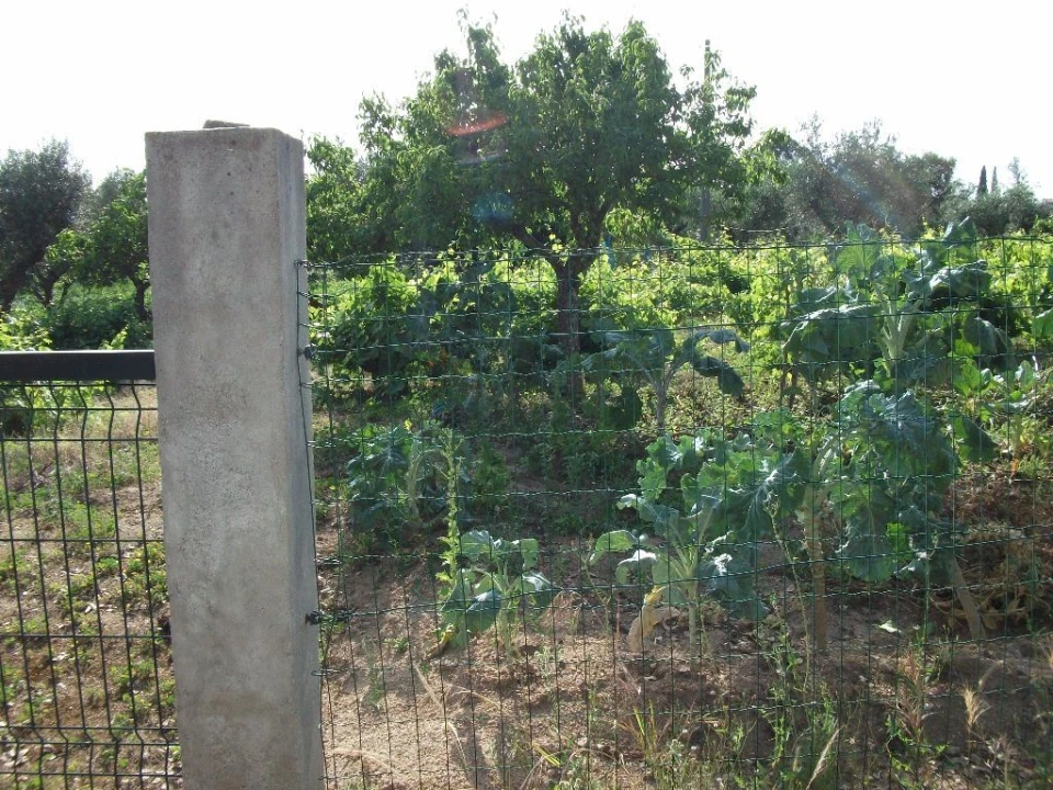 Terreno Agricola ou Rústico para Venda em Alcains Foto 4