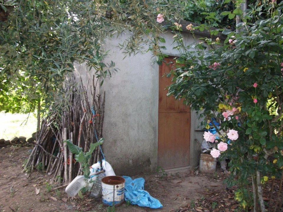 Terreno Agricola ou Rústico para Venda em Alcains Foto 14