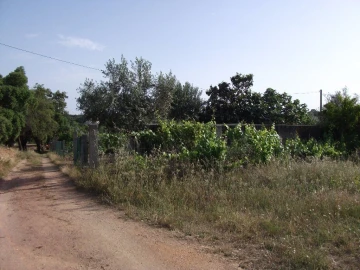 Terreno Agricola ou Rústico para Venda em Alcains
