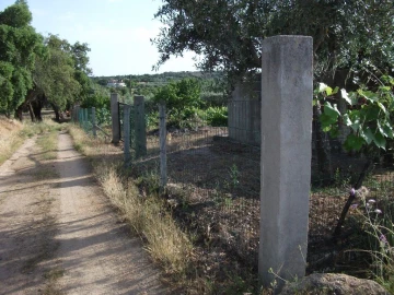 Terreno Agricola ou Rústico para Venda em Alcains