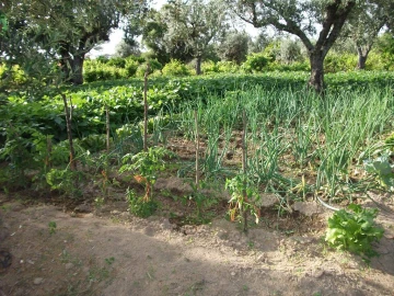 Terreno Agricola ou Rústico para Venda em Alcains