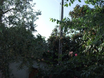 Terreno Agricola ou Rústico para Venda em Alcains