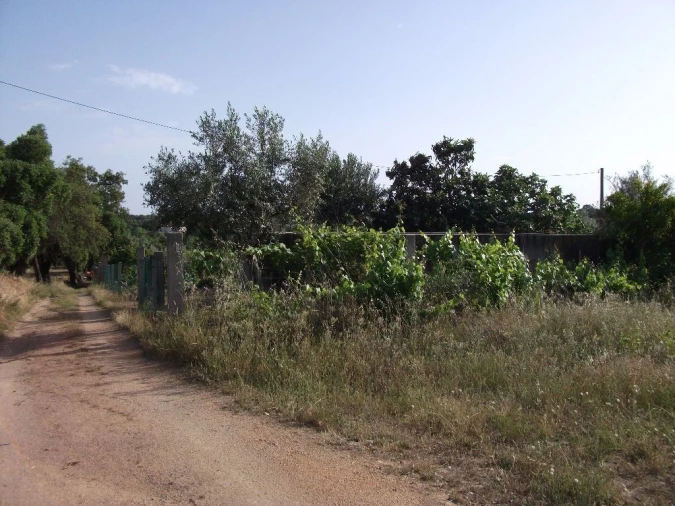 Terreno Agricola ou Rústico para Venda em Alcains
