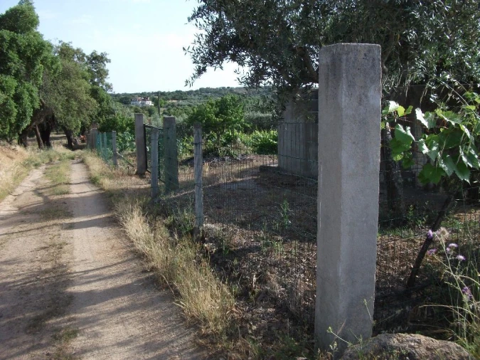 Terreno Agricola ou Rústico para Venda em Alcains Foto 2