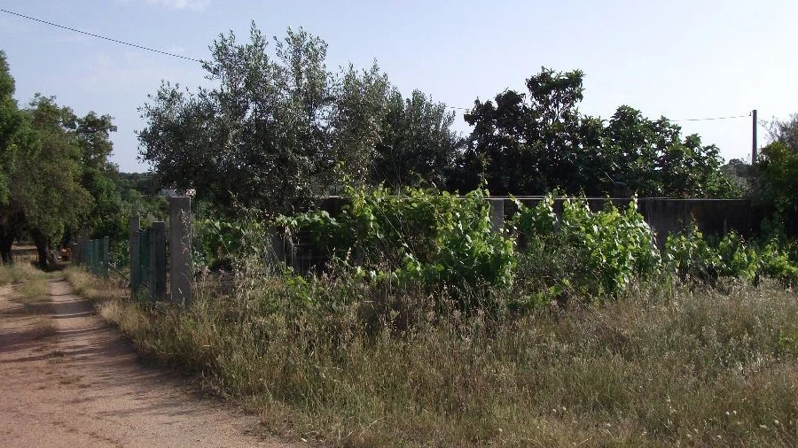 Terreno Agricola ou Rústico para Venda em Alcains
