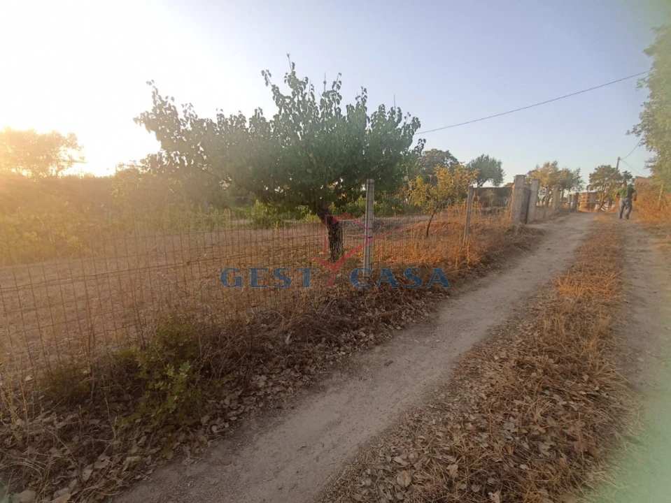 Terreno Agricola ou Rústico para Venda em Alcains Foto 14