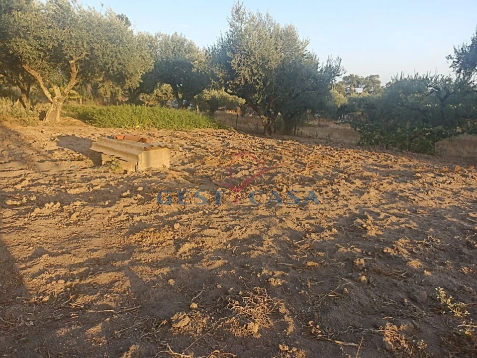 Terreno Agricola ou Rústico para Venda em Alcains Foto 15
