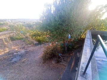 Terreno Agricola ou Rústico para Venda em Alcains