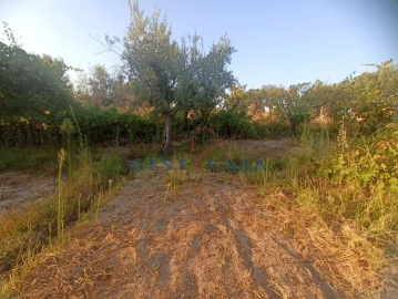 Terreno Agricola ou Rústico para Venda em Alcains