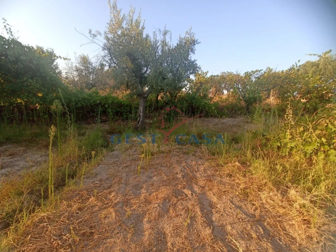 Terreno Agricola ou Rústico para Venda em Alcains Foto 11