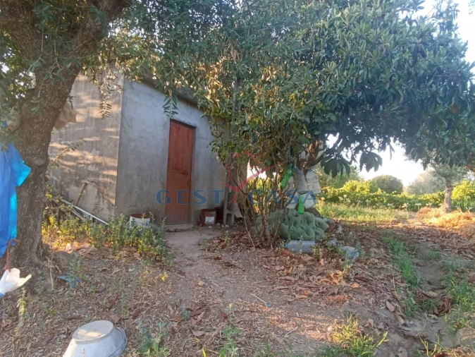 Terreno Agricola ou Rústico para Venda em Alcains Foto 12