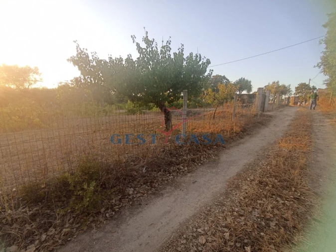Terreno Agricola ou Rústico para Venda em Alcains Foto 14