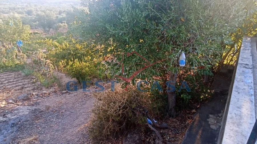 Terreno Agricola ou Rústico para Venda em Alcains