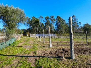 Terreno Agricola ou Rústico para Venda em Abade de Neiva