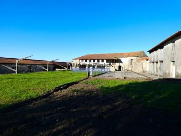 Terreno Agricola ou Rústico para Venda em Abade de Neiva