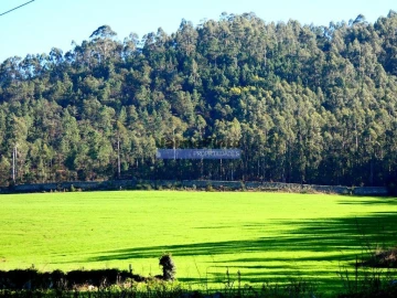 Terreno Agricola ou Rústico para Venda em Abade de Neiva