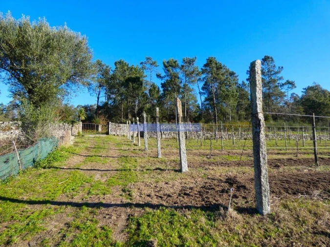 Terreno Agricola ou Rústico para Venda em Abade de Neiva Foto 5