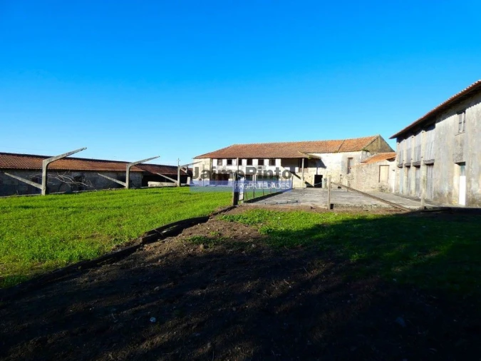 Terreno Agricola ou Rústico para Venda em Abade de Neiva Foto 7