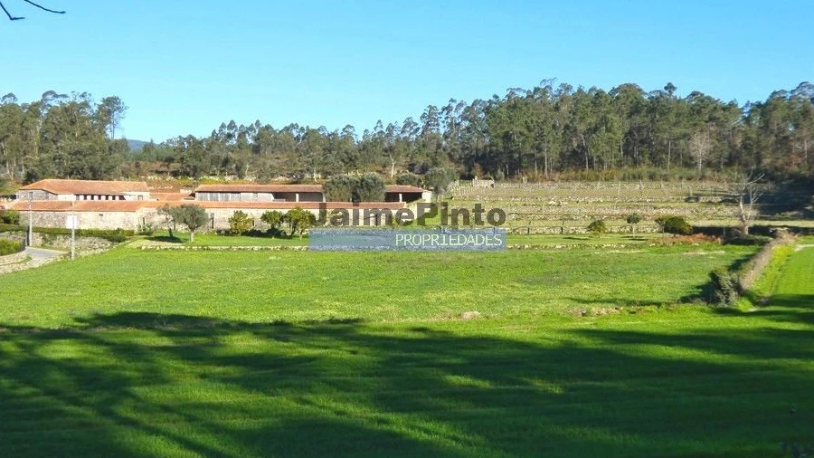 Terreno Agricola ou Rústico para Venda em Abade de Neiva