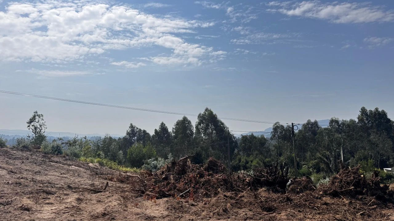 Terreno P/ Prédio para Venda em Abade de Neiva Foto 1