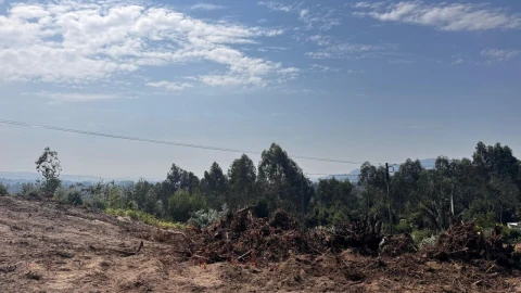 Terreno P/ Prédio para Venda em Abade de Neiva