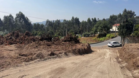 Terreno P/ Prédio para Venda em Abade de Neiva