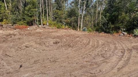 Terreno P/ Prédio para Venda em Abade de Neiva