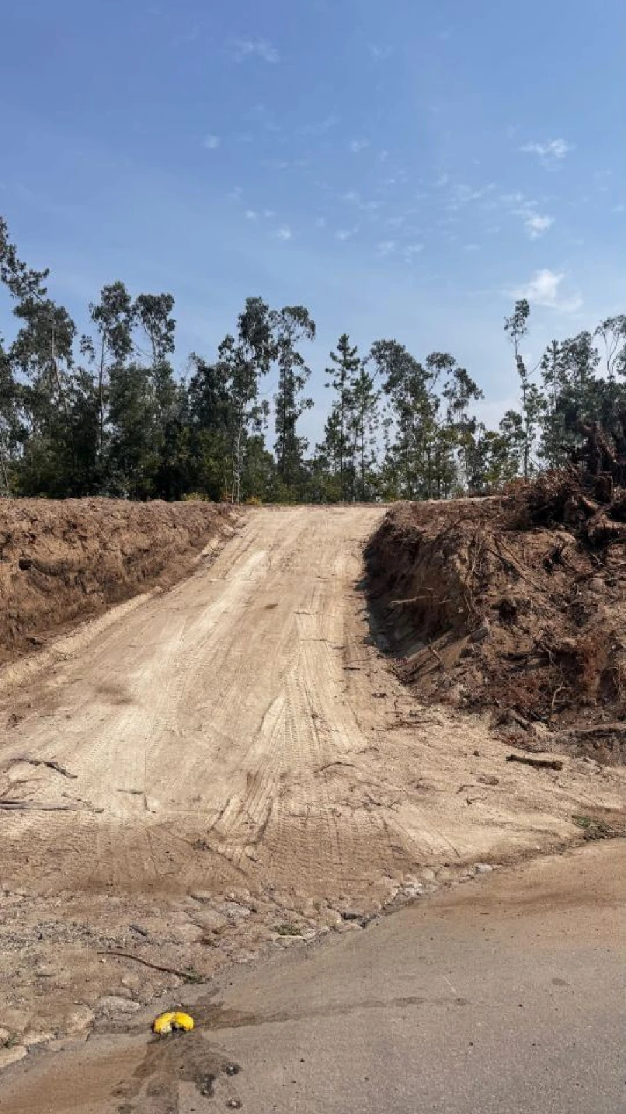 Terreno P/ Prédio para Venda em Abade de Neiva Foto 5