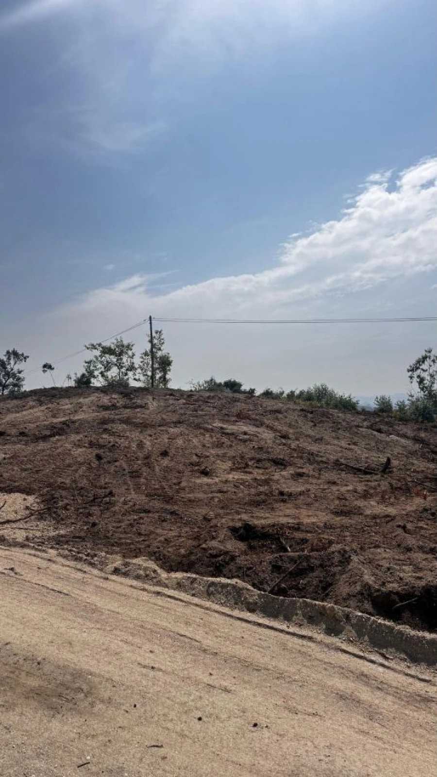 Terreno P/ Prédio para Venda em Abade de Neiva Foto 6