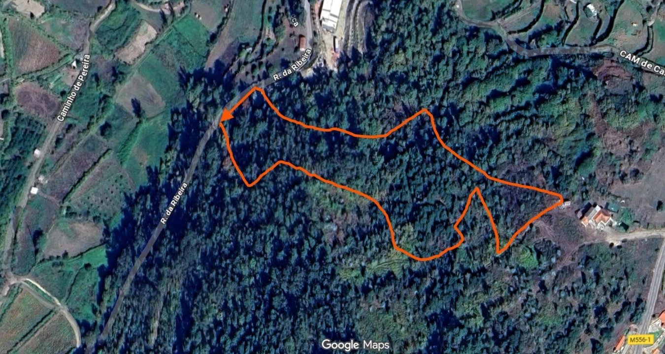 Terreno para Venda em Souselo Foto 1