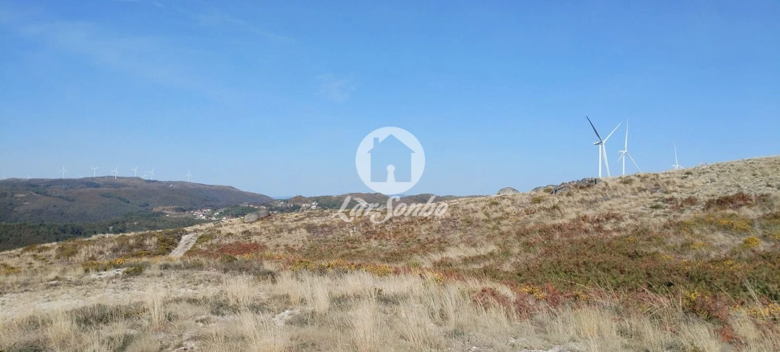 Terreno Agricola ou Rústico para Venda em Moreira do Rei e Várzea Cova Foto 12