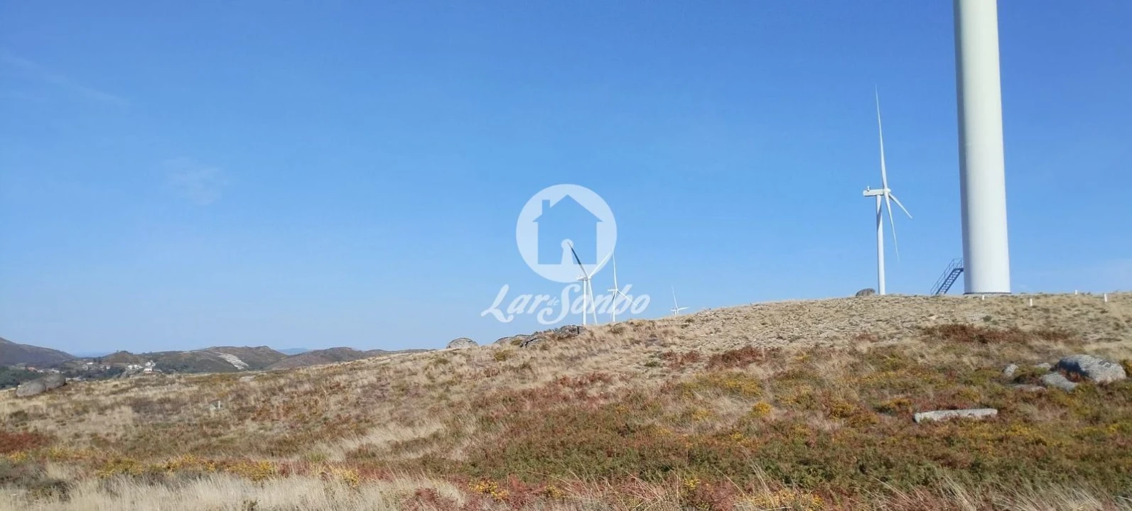 Terreno Agricola ou Rústico para Venda em Moreira do Rei e Várzea Cova Foto 8