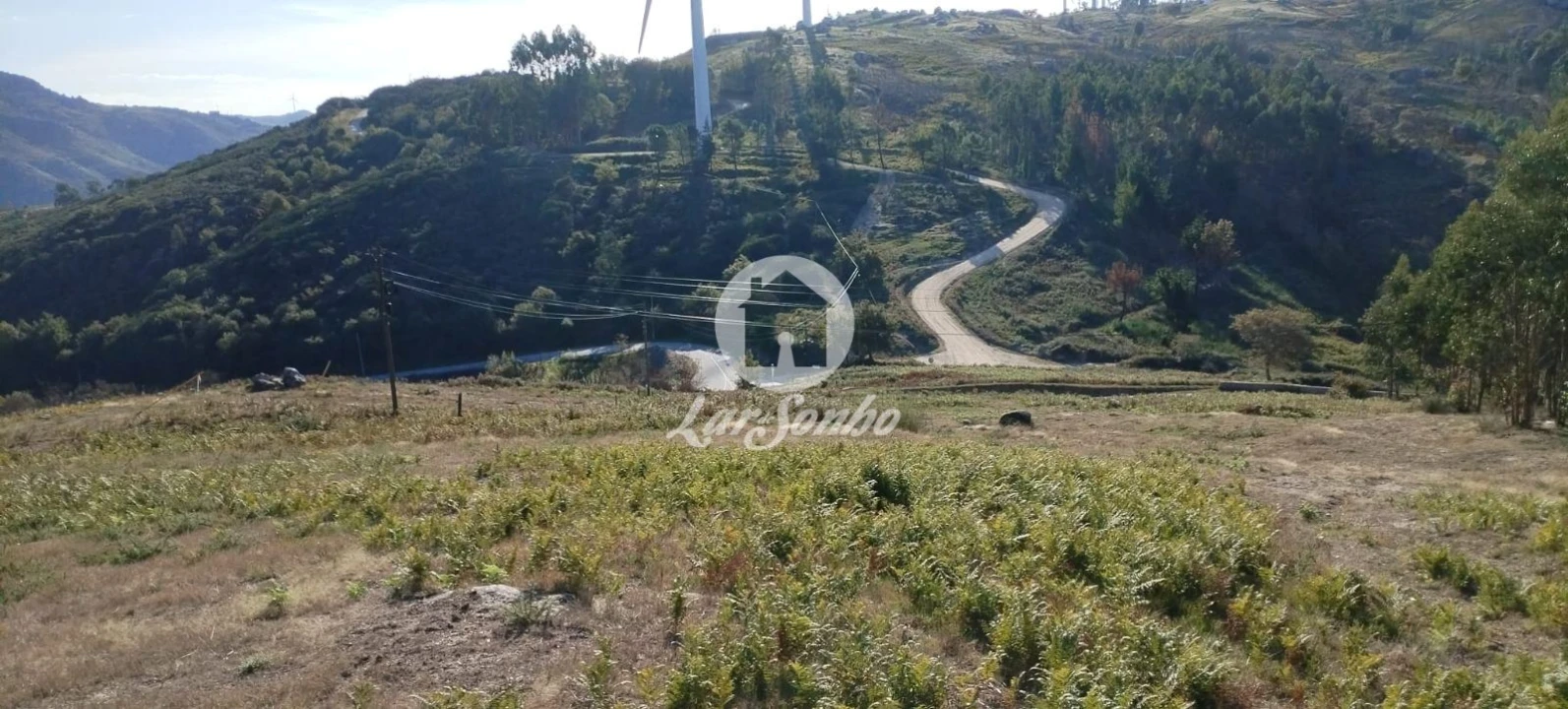 Terreno Agricola ou Rústico para Venda em Moreira do Rei e Várzea Cova Foto 2