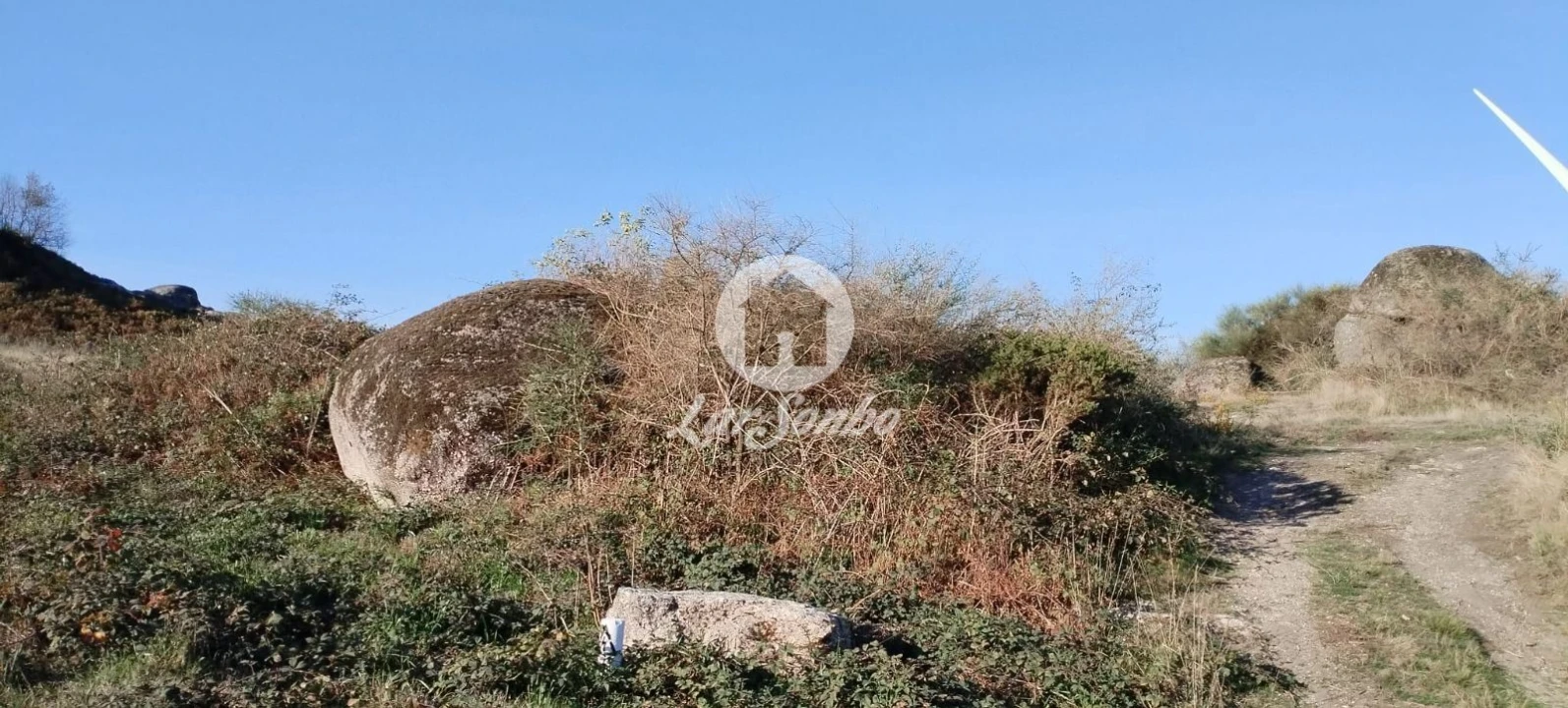 Terreno Agricola ou Rústico para Venda em Moreira do Rei e Várzea Cova Foto 15