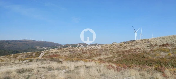 Terreno Agricola ou Rústico para Venda em Moreira do Rei e Várzea Cova