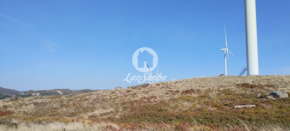 Terreno Agricola ou Rústico para Venda em Moreira do Rei e Várzea Cova