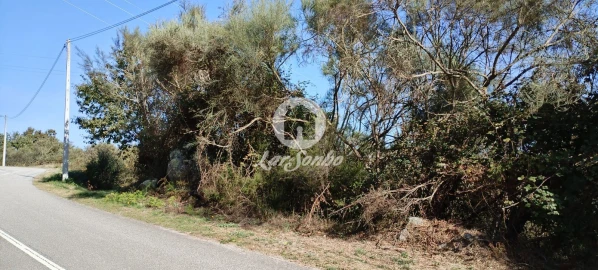 Terreno Agricola ou Rústico para Venda em Moreira do Rei e Várzea Cova