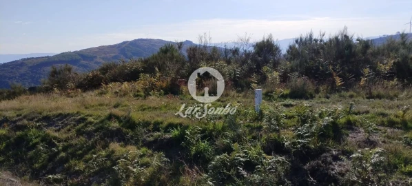 Terreno Agricola ou Rústico para Venda em Moreira do Rei e Várzea Cova