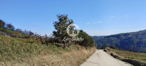 Terreno Agricola ou Rústico para Venda em Moreira do Rei e Várzea Cova