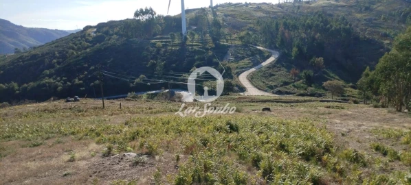 Terreno Agricola ou Rústico para Venda em Moreira do Rei e Várzea Cova