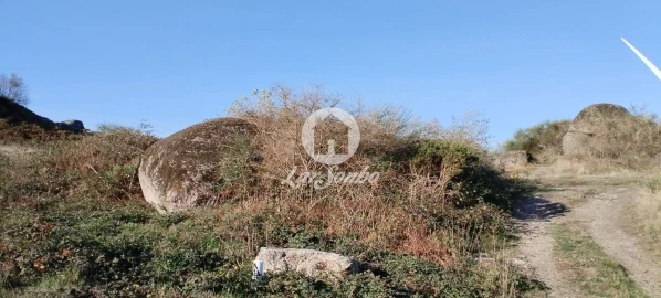 Terreno Agricola ou Rústico para Venda em Moreira do Rei e Várzea Cova